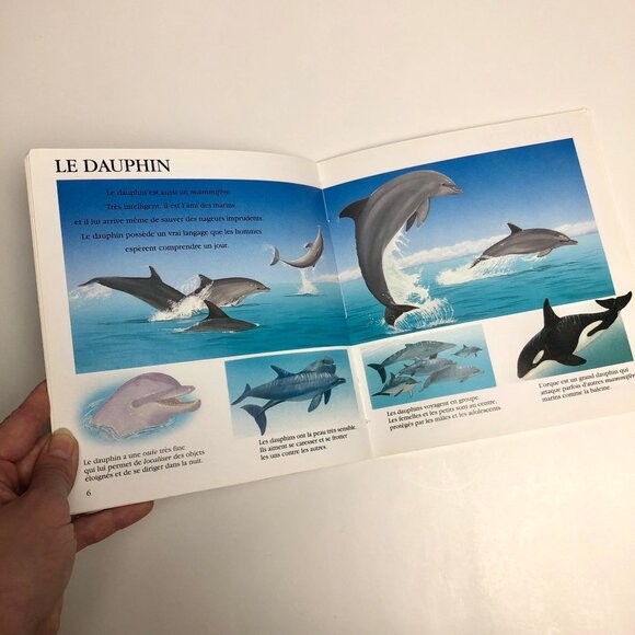 Lot livres vintage pour enfants et marionnette vintage 🦀 French Childrens Books - Picture 8 of 13